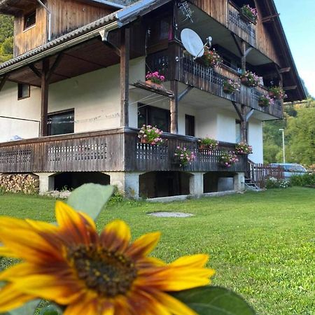 Apartment V&N, Lake Bohinj Bagian luar foto